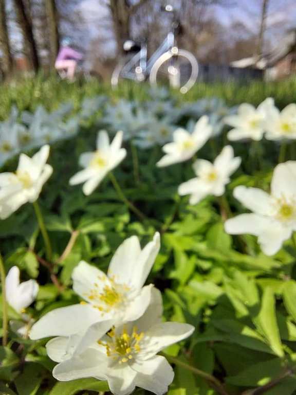 Zdjęcie WhatsApp 2024-11-08 o 12.41.48_f842afa6