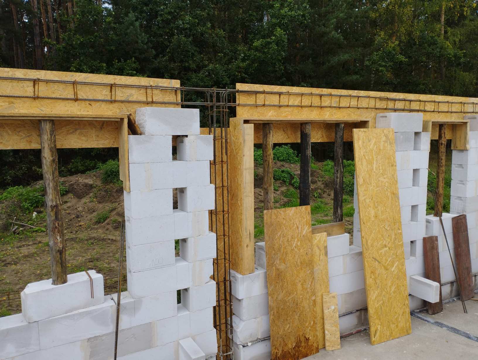 Zdjęcie WhatsApp 2024-11-15 o 09.04.46_4e45c513