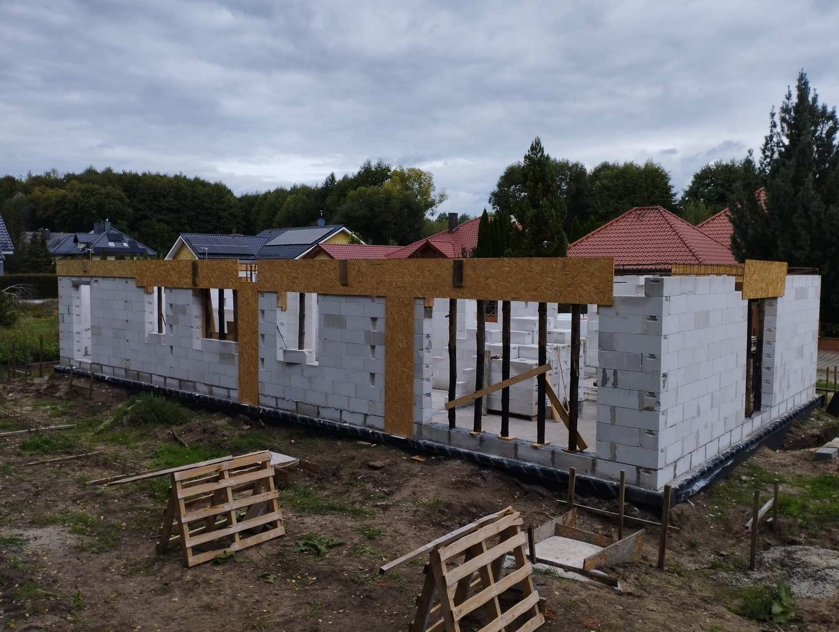 Zdjęcie WhatsApp 2024-11-15 o 09.04.46_8b847b85