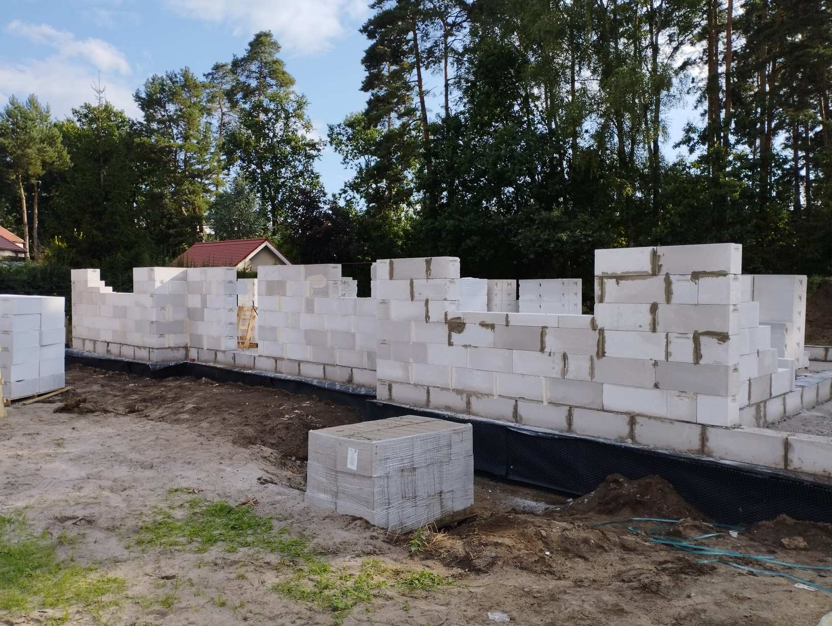 Zdjęcie WhatsApp 2024-11-15 o 09.04.48_1af94104