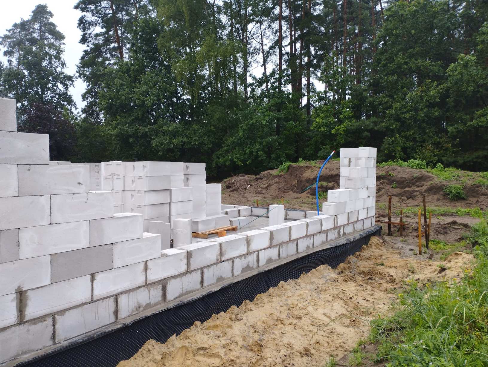 Zdjęcie WhatsApp 2024-11-15 o 09.04.49_1e8e628f