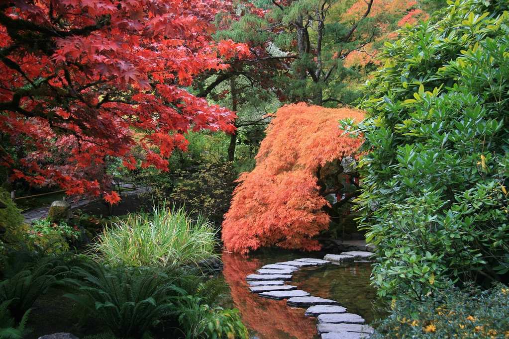 japanese-garden-2898777_1280