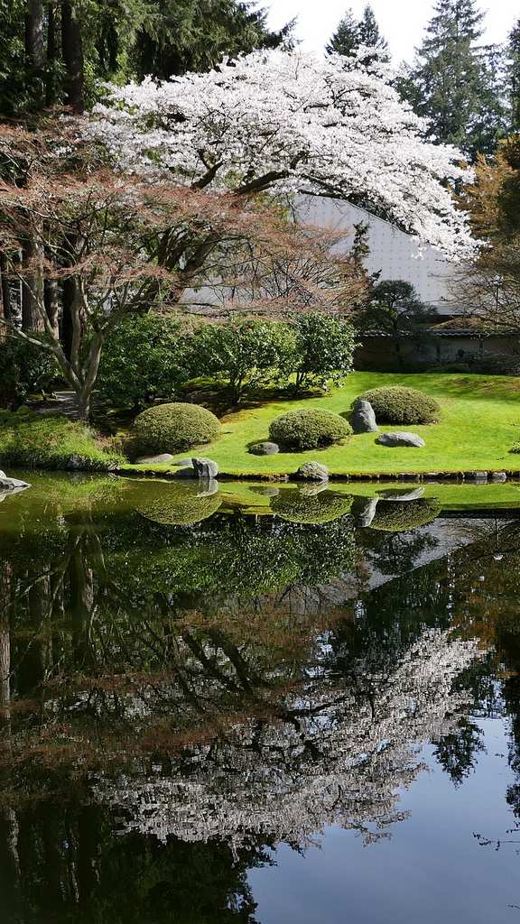 japanese-garden-5032146_1280